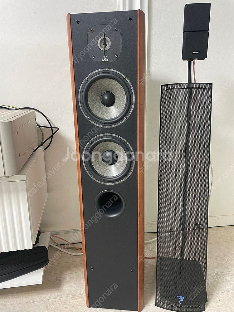 Focal 포칼 Cobalt 816s--0