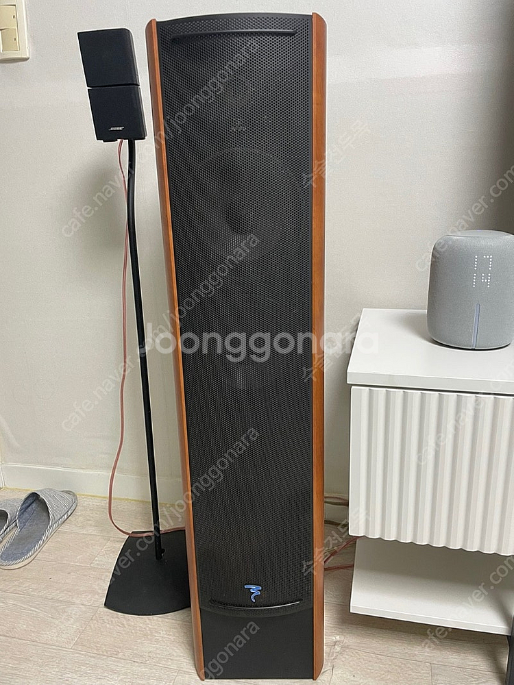 Focal 포칼 Cobalt 816s--1