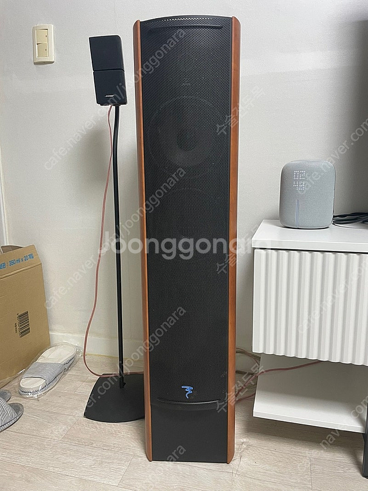 Focal 포칼 Cobalt 816s--3