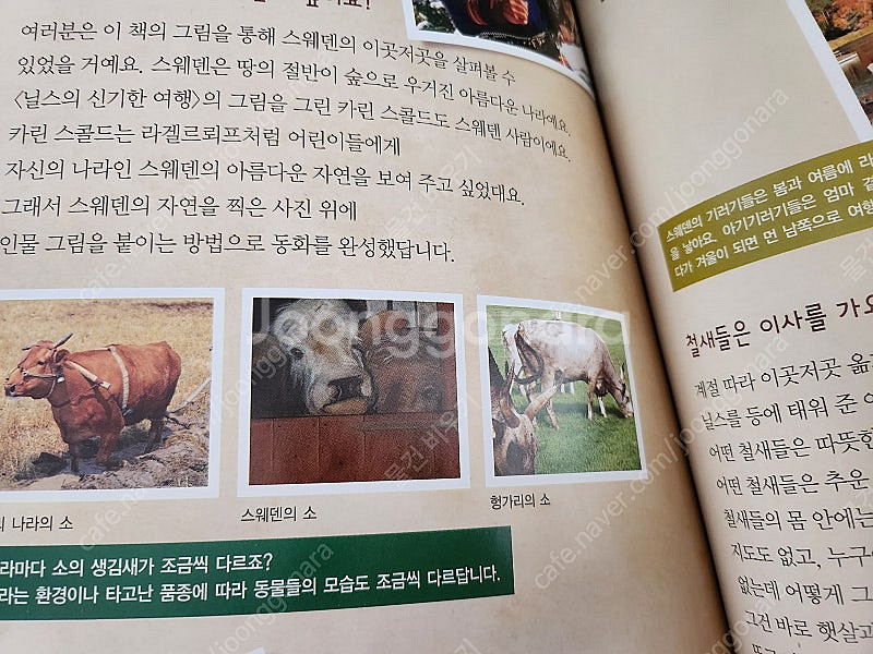 슈타이너 세계명작 총70권--8