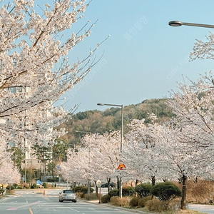 폴웨어 저렴하게 정리 각 만원