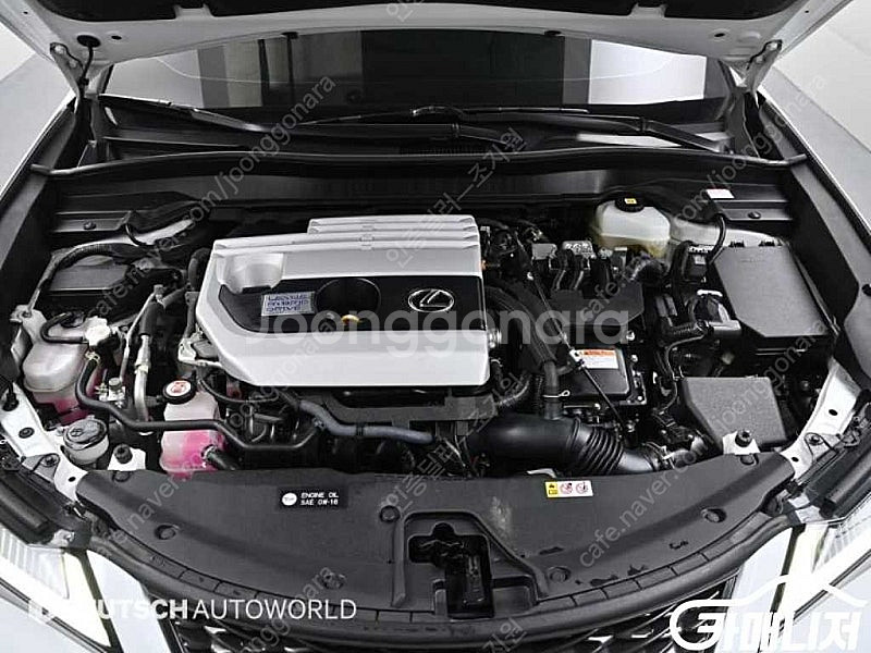[렉서스]UX 250h 2.0 F 스포츠 2WD (5인...--6