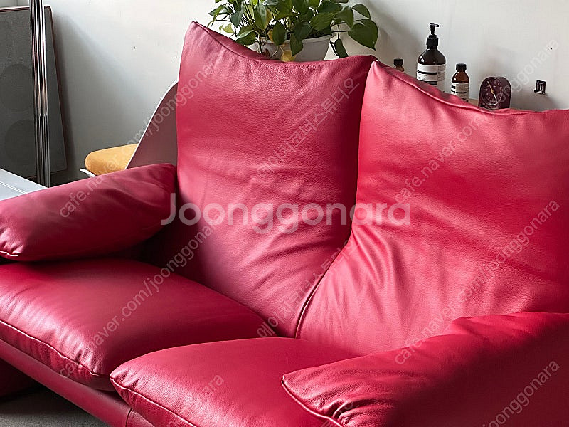 Cassina maralunga Vico Magistr...--3