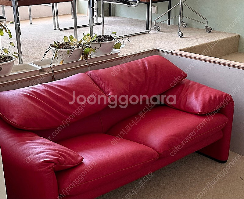 Cassina maralunga Vico Magistr...--0