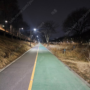 화이트짐 역삼점 PT 16회 양도합니다.