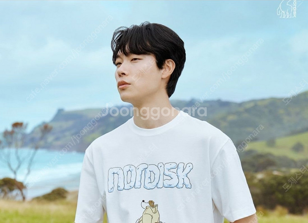 노르디스크 뉴발란스 후드티 카툰폴로베어 반팔티셔츠 광고...--4