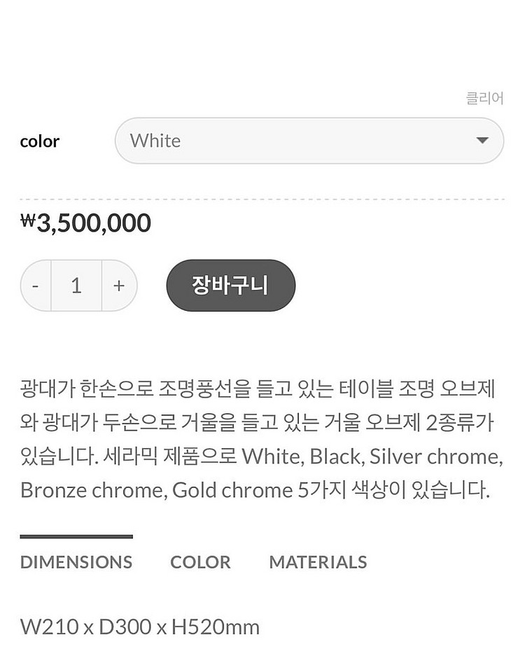 하이메 아욘 거울--1