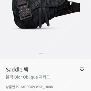 디올 오블리크 새들백