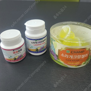 소라게,크랩 먹이