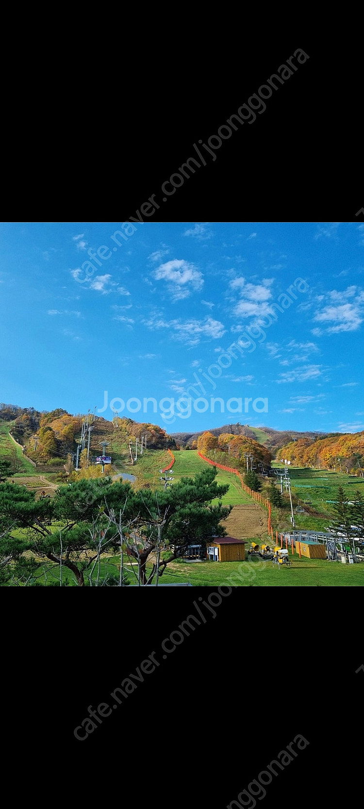 맥도날드 더블불고기버거세트 2매--0