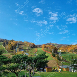 맥도날드 더블불고기버거세트 2매