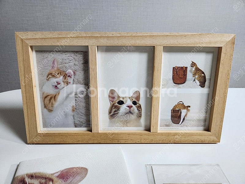 내친구, 코무기 도서 및 엽서5p + 우드유리액자 일괄...--1