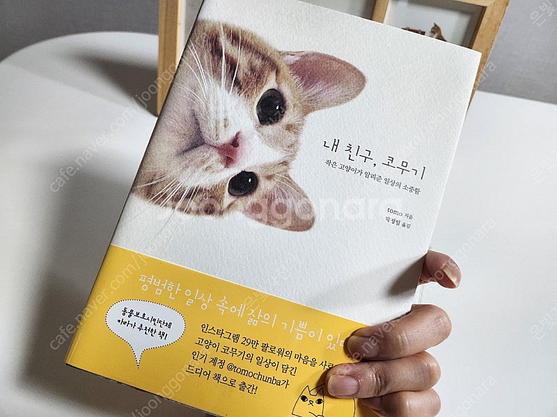 내친구, 코무기 도서 및 엽서5p + 우드유리액자 일괄...--3
