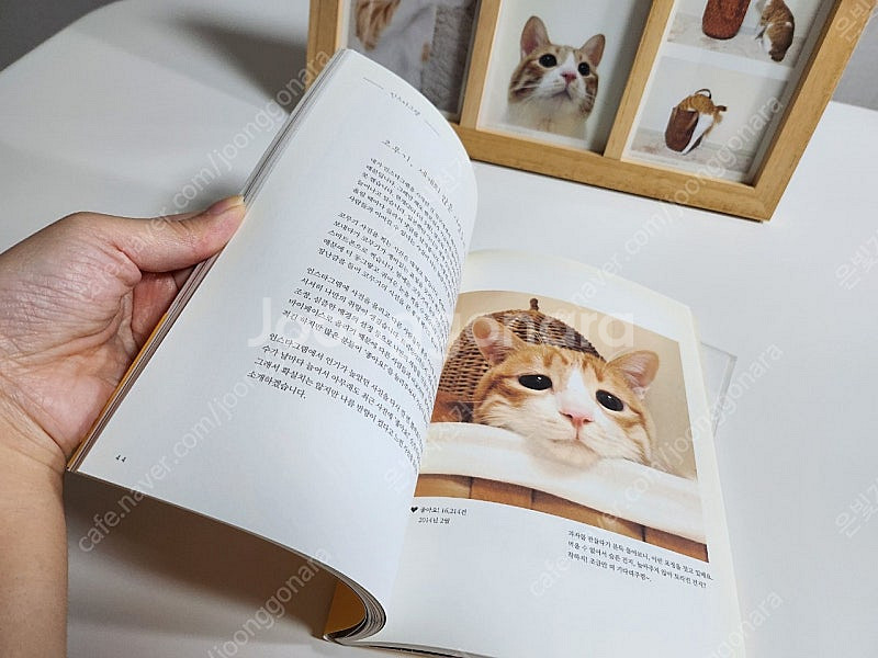 내친구, 코무기 도서 및 엽서5p + 우드유리액자 일괄...--5