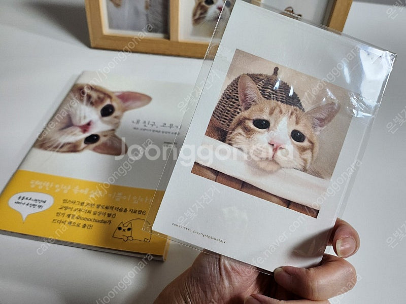 내친구, 코무기 도서 및 엽서5p + 우드유리액자 일괄...--7