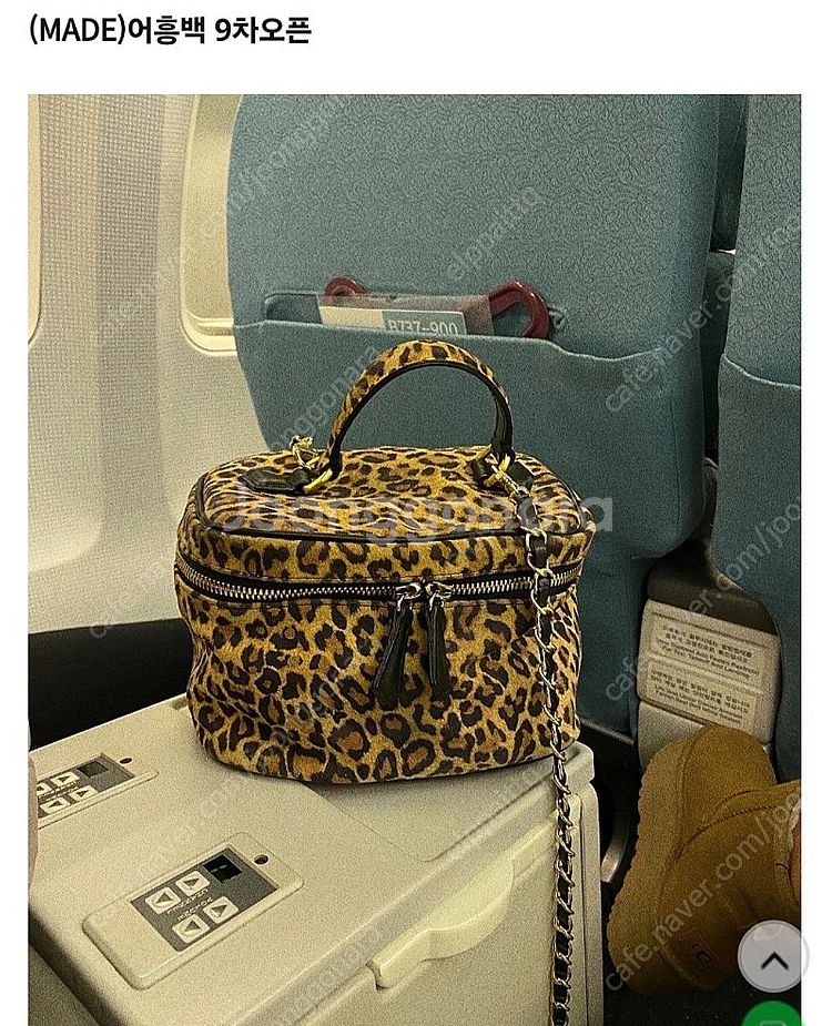 소진콩 어흥백--0
