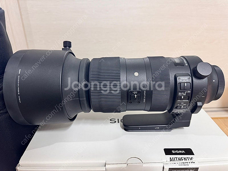 시그마 60-600 스포츠 캐논ef마운트--1