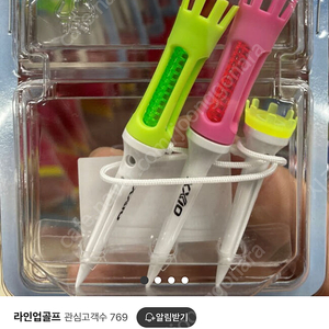 젝시오 골프티 세트