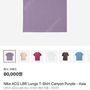 NIKE ACG LBR 렁스 반팔 / 캐년 퍼플 아시아 XL 105