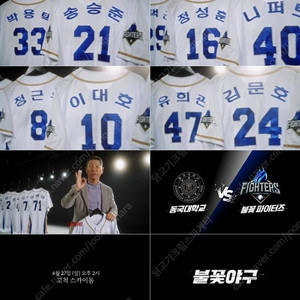 [저렴][명당] 4/27 불꽃야구(최강야구) vs 동국대 1루 3루 불꽃석 / 4층 지정석 <2연석 4연석>