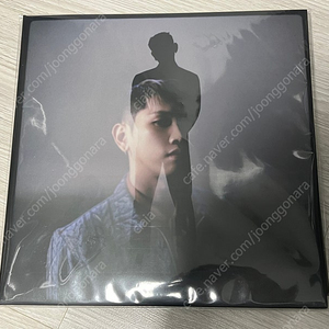 크러쉬 LP wonderego