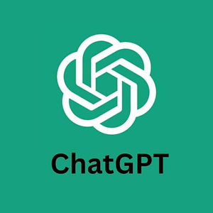 챗지피티 플러스 대여
