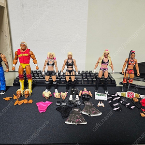 WWE 피규어 일괄펀먀