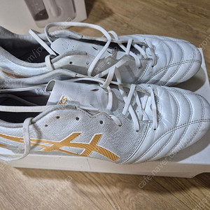 아식스 DS Light PRO AG 275