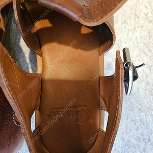 파라부트 글레디에이터
