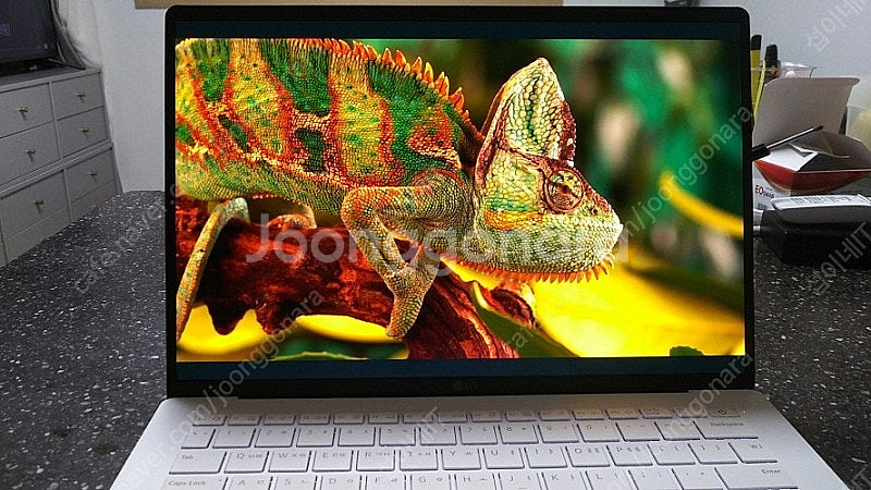 [판매]LG 그램 스타일14/램16G,OLED--0