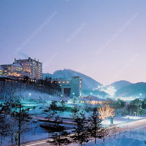 용평리조트~그린피아콘도38평~빌라콘도48평,41평~호텔패밀리~균일가