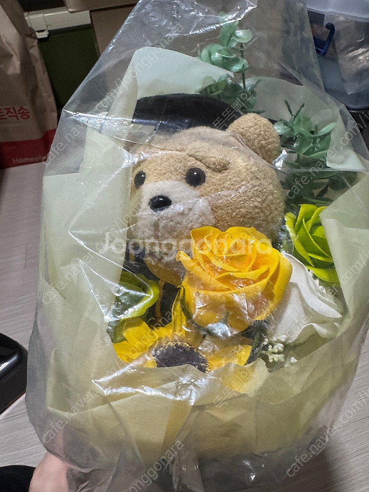 모리앤 테드곰 인형꽃다발 학사모 테드곰--1