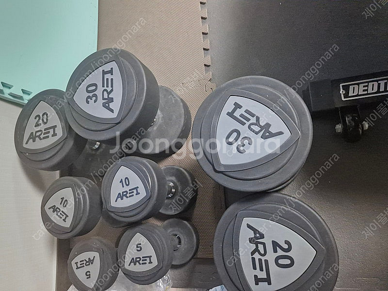 [대구] 아레이 우레탄 개별 덤벨 5kg, 10kg, ...--0