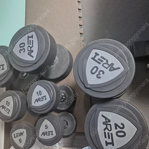 [대구] 아레이 우레탄 개별 덤벨 5kg, 10kg, 20kg, 30kg