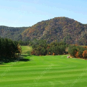 ​​4, 5, 6월 삼척/양양/진도 쏠비치/변산/거제/경주/여수/단양 양도​