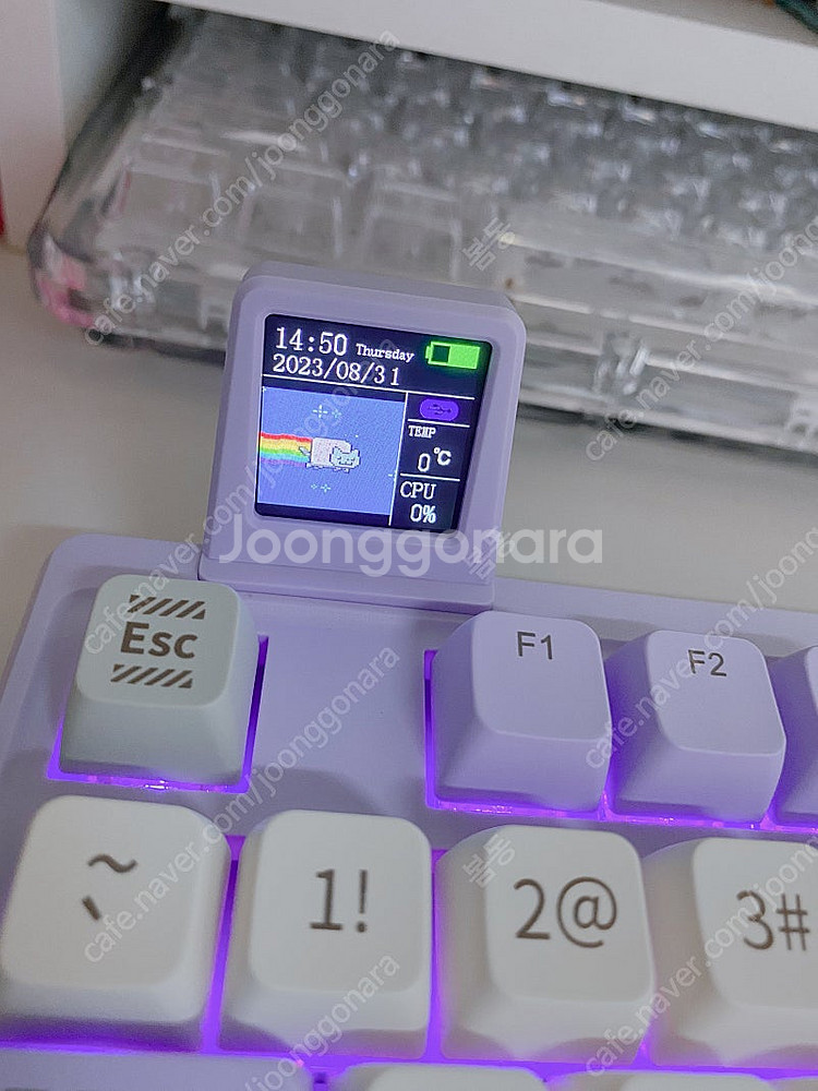 EPOMAKER 에포메이커 RT100 퍼플 / 플라밍고...--0