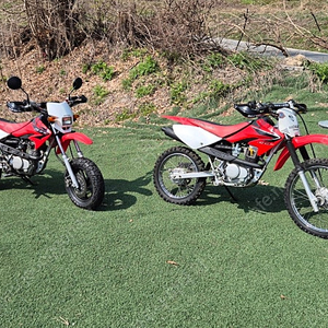 혼다 CRF100/XR100판매합니다