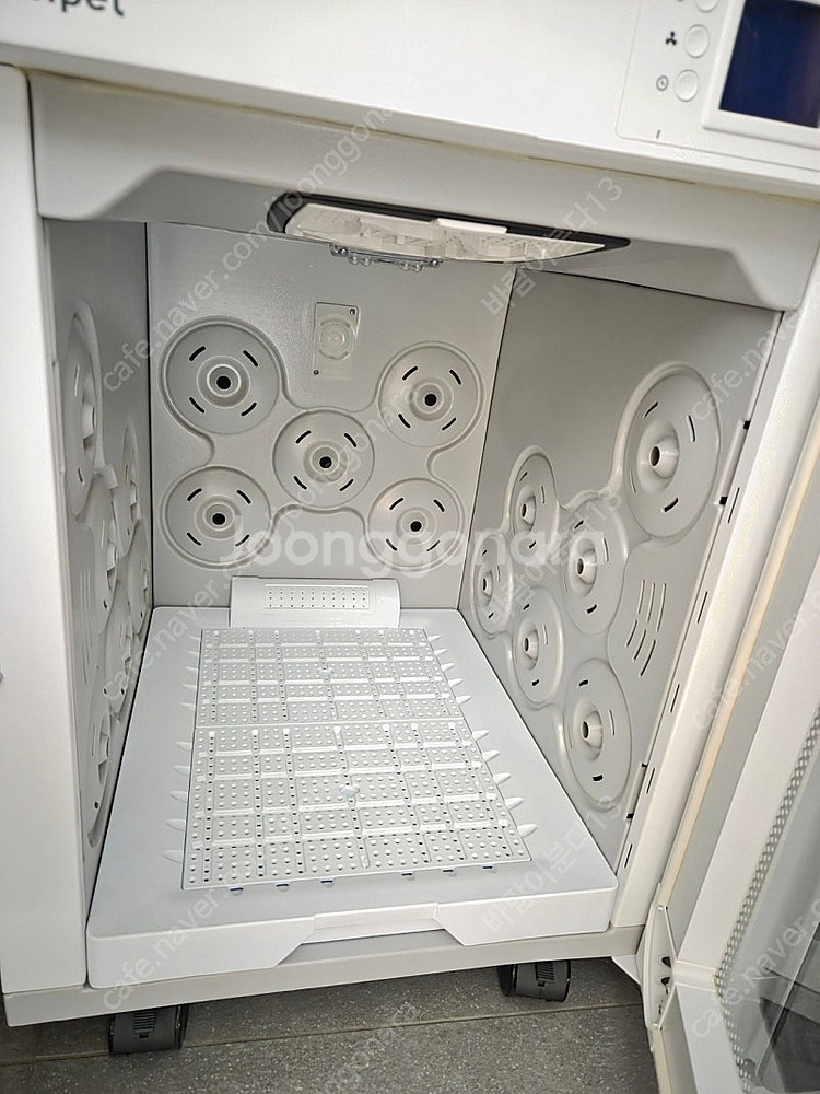 붐펫 k50--1
