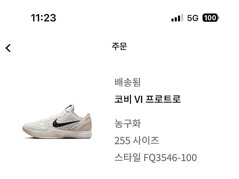 코비6 프로트로 세일--0