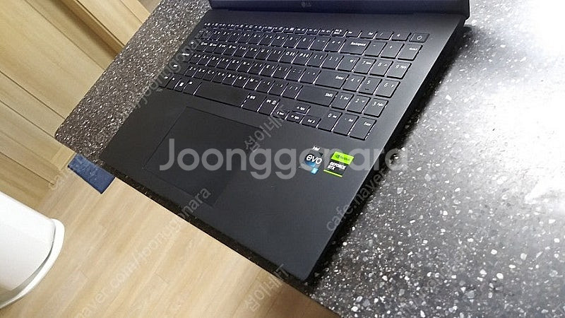 [판매]LG 최신 13세대 i7 게이밍 그램/램16G,...--6