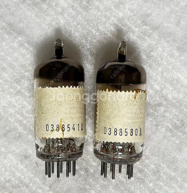 Siemens (SH) 지멘스 ECC85/6AQ8 공기...--1
