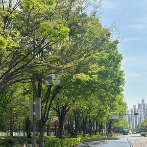 5/4-5/5 가평 헬로우힐 포레스트 글램핑 양도해주실 분 계실까요