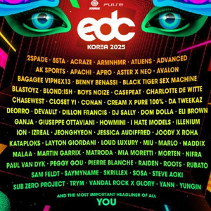 EDC Korea 2025 양일권 티켓 2장 팔아요