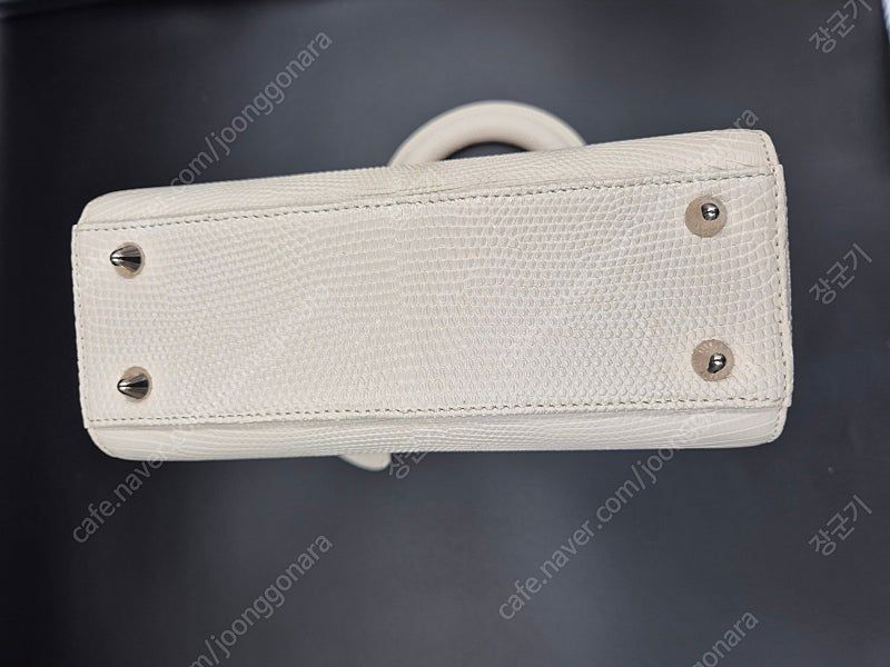 급처 디올 이그조틱 리자드 레이디 백 미니 아이보리 팝니다--3