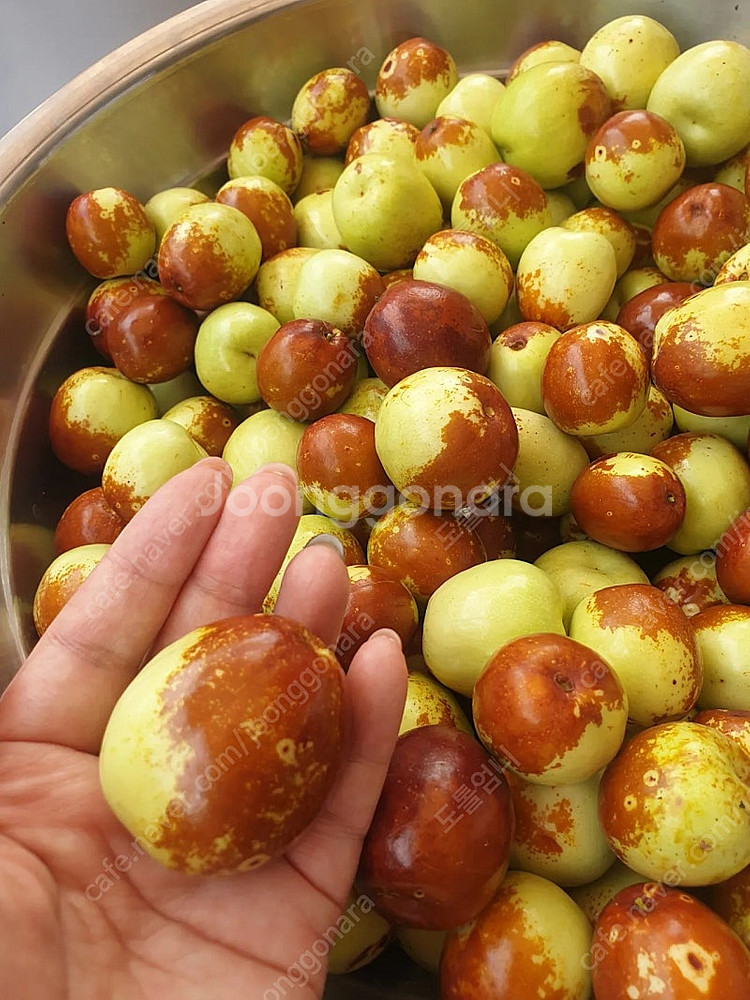여기어때 숙박 대실 예약해드려요--0