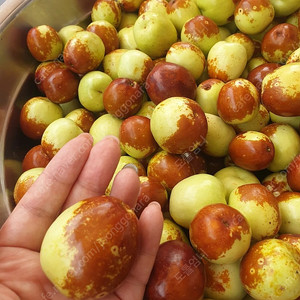 여기어때 숙박 대실 예약해드려요