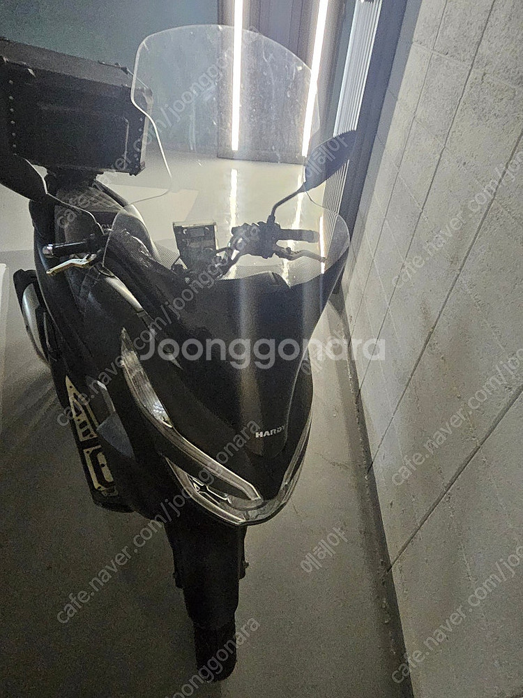 Pcx125 19년식 판매--5