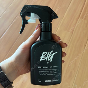 러쉬 빅 바디스프레이 big