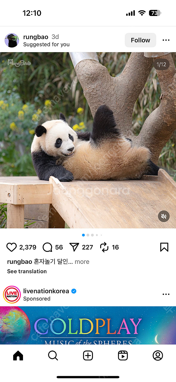 콜드플레이 4/25 티켓 2연석 삽니다!(4/24 콘서...--0