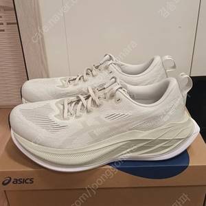 아식스 슈퍼블라스트2 레이크그레이 275